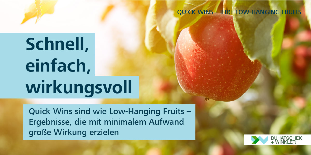 Quick Wins – Die Low-Hanging Fruits für schnelle Erfolge